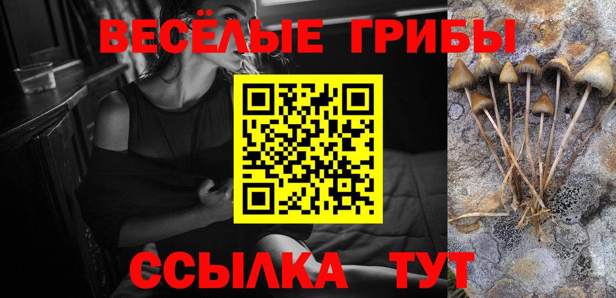 Псилоцибиновые грибы Psilocybe Лыткарино