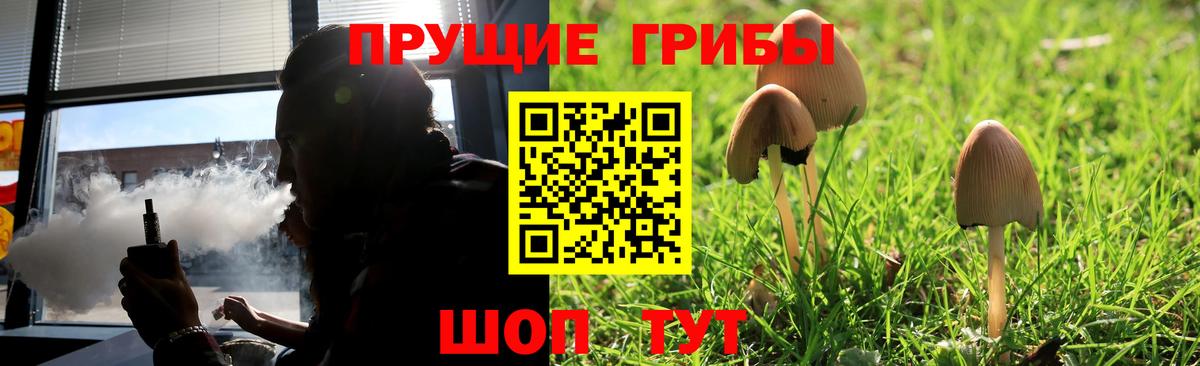 Лыткарино  Галлюциногенные грибы MAGIC MUSHROOMS  Вход с VPN 